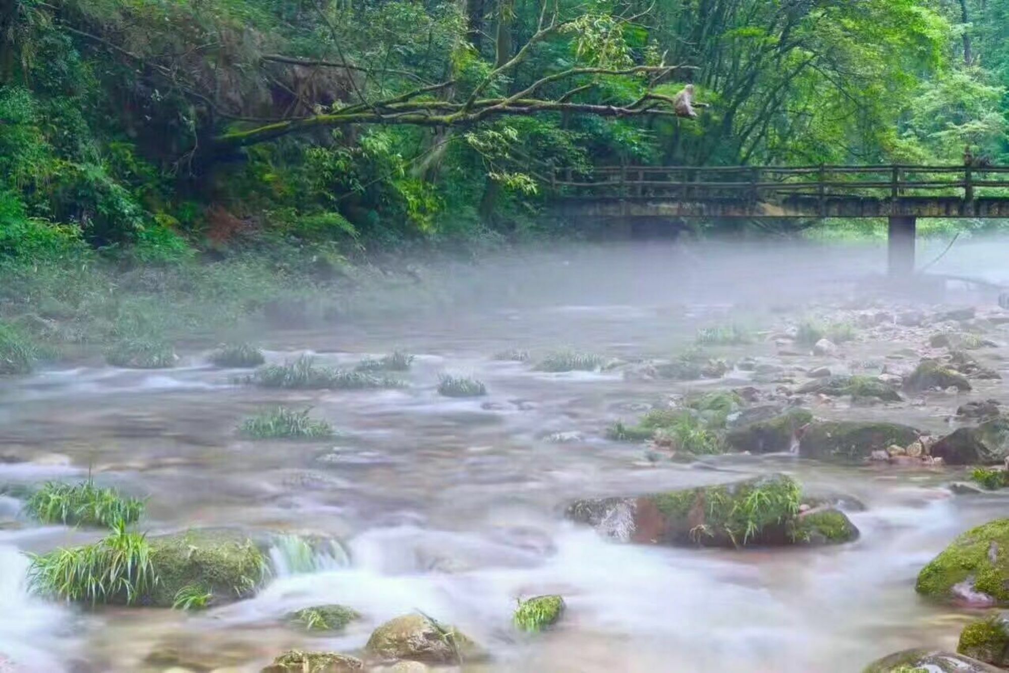 Zhangjiajie Yueranju Hostel Eksteriør billede
