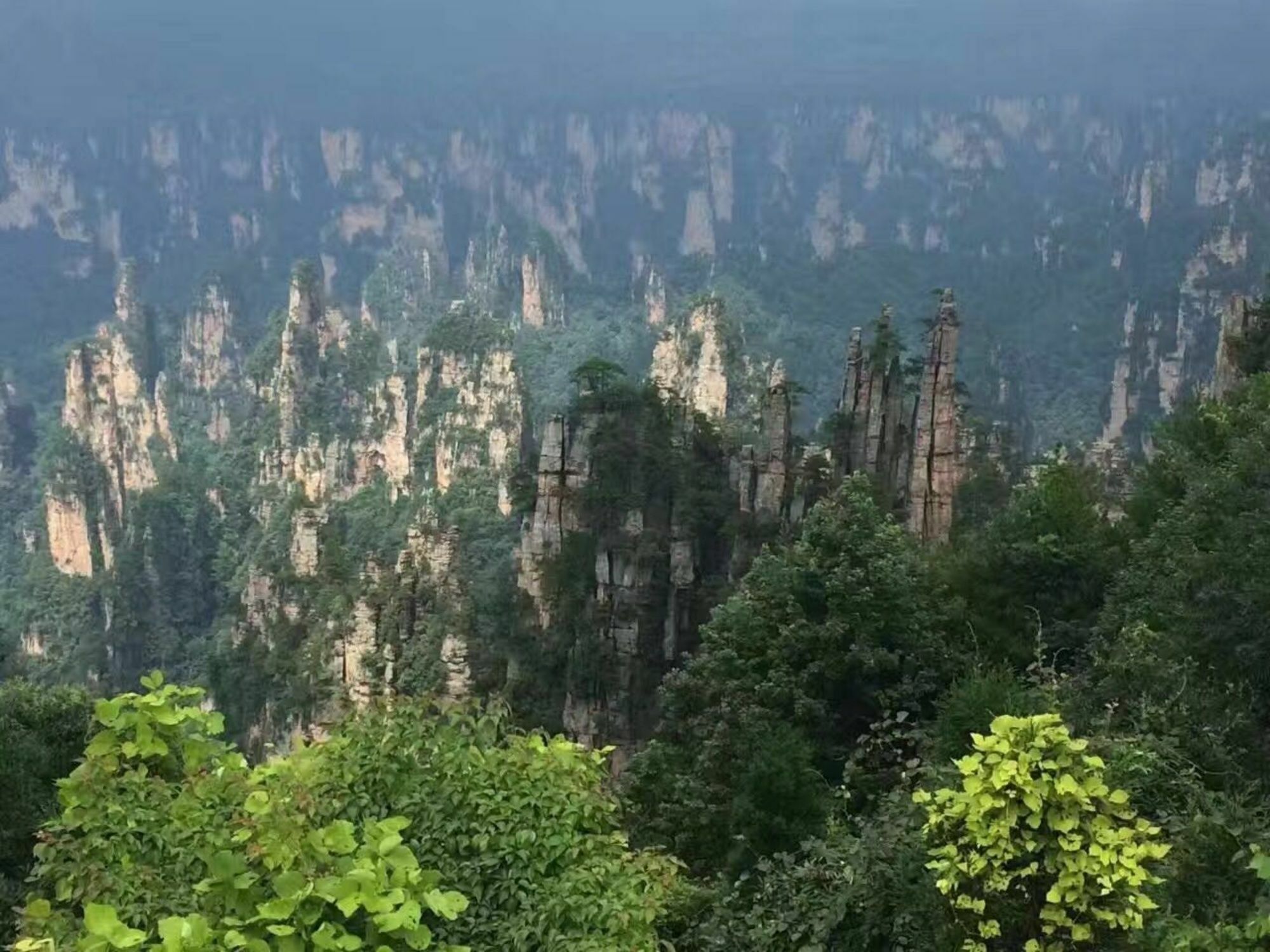 Zhangjiajie Yueranju Hostel Eksteriør billede